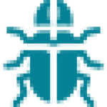 Insect: Beetle Insect: Beetle